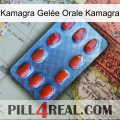 Kamagra Gelée Orale Kamagra 06